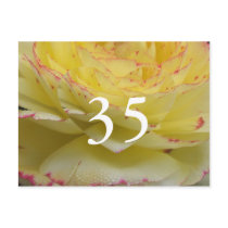 35th Birthday Postcard