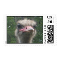 360 postage