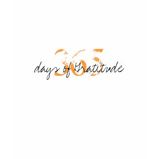 365 Days of Gratitude shirt