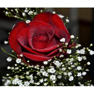 365flowers RedGage Challenge mousepad