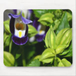 365flowers RedGage Challenge Mouse Pads 365flowers RedGage Challenge Mouse Pads
