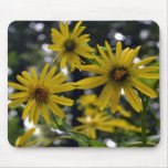 365flowers RedGage Challenge Mouse Pads