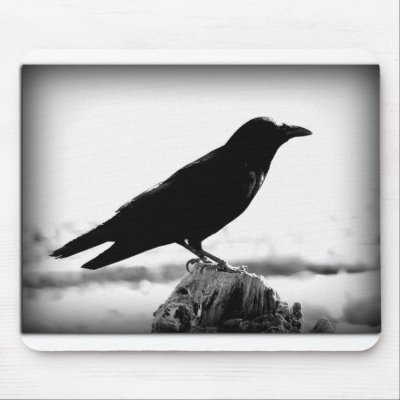 36746_1509585422382_1316742116_31398780_1978581_n mousepads by MegUSN1