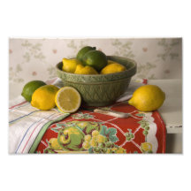 3728 Bowl of Lemons & Limes Still Life Photo