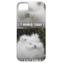 376907_215240955264483_1636367057_n.jpg iPhone 5 cases