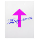 37 Arrow Letterhead