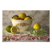 3856 Bowl of Lemons & Limes Still Life Photo Print