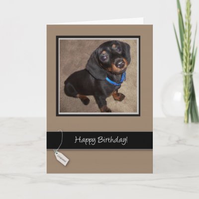 3913 Happy Birthday, Dog, Dachshund Greeting Cards