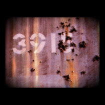 3915 posters