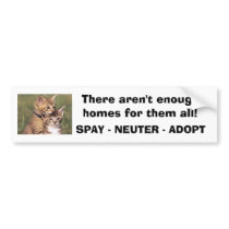 392324005_d000fde36f, There aren't enough homes... Bumper Stickers