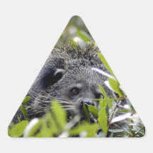 3.5x3.5-Template-Triangle Sticker