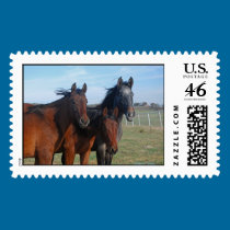 3 Amigas Postage stamps