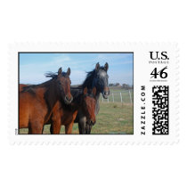 3 Amigas Postage
