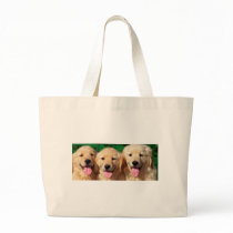 3 Amigos Bags