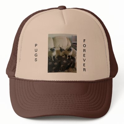 3 Amigos Trucker Hat by Pugsterland
