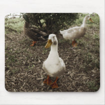 3 Amigos - mousepad by fangedfaerie 3 Amigos - mousepad