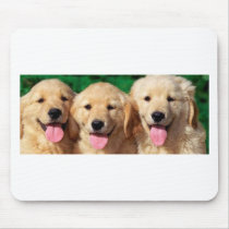 3 Amigos mousepads