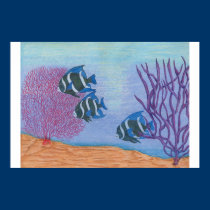 3 angel fish posters