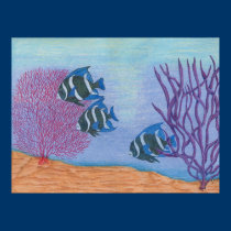 3 Angel Fish posters