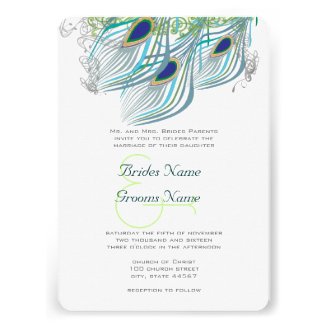 3 Aqua Peacock Vintage Feathers Personalized Announcements