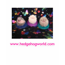 3 babies t-shirt by hedgehogworld 3 babies t-shirt