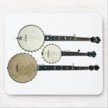 bacon, banjo, bluegrass, cat, clawhammer, cole,