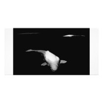 3 beluga Whales Personalized Photo Card