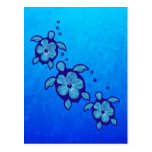 3 Blue Honu Turtles Post Card