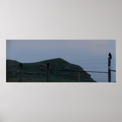 3 Buzzards Poster by wksimages