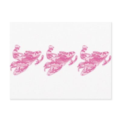 3-Camo-Pink-Sled Postcard by knudsonstudios