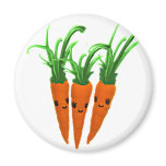 3 Carrots magnets