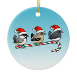 Three Christmas Songbirds (US) Circle Ornament