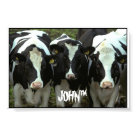 3 cow
