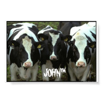 3 cow posters by chikenguy1313 3 cow posters