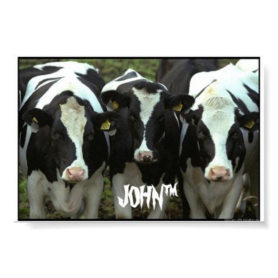 3 cow print by chikenguy1313