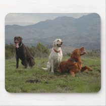 3 Crazy Puppies at Briones Mousepad mousepads