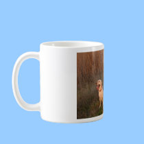 3 Crazy Puppies at Shell Ridge Mug mugs