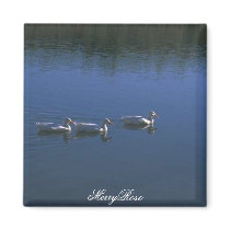 3 Cute Ducks In Water magnets by MerryRose 3 Cute Ducks In Water magnets