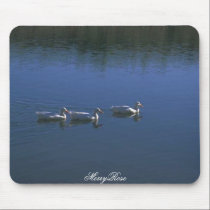 3 Cute Ducks In Water mousepads
