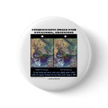 3-D Patagonia, Argentina Pinback Button