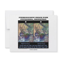 3-D Patagonia, Argentina invitations by wordsunwords 3-D Patagonia, Argentina invitations