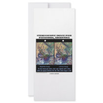 3-D Patagonia, Argentina Rack Card Design