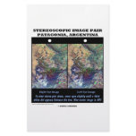 3-D Patagonia, Argentina Stationery