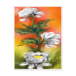 3 Daisies painting postcard