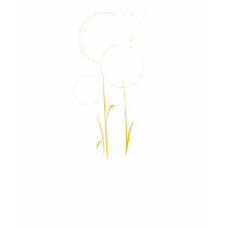 3 dandelions tee t-shirts