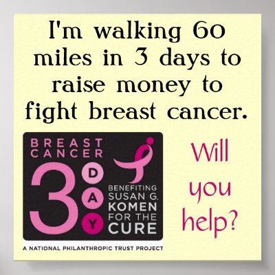 3-Day Fundraising Poster by pinuchkin