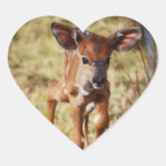 3 day old deer heart sticker