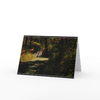 3 Deer card