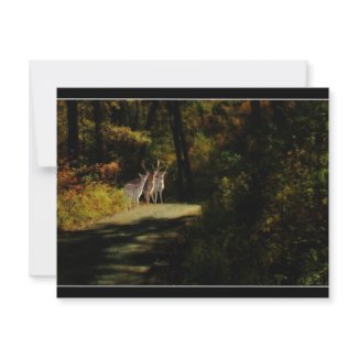 3 Deer invitation