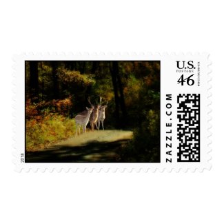 3 Deer stamp